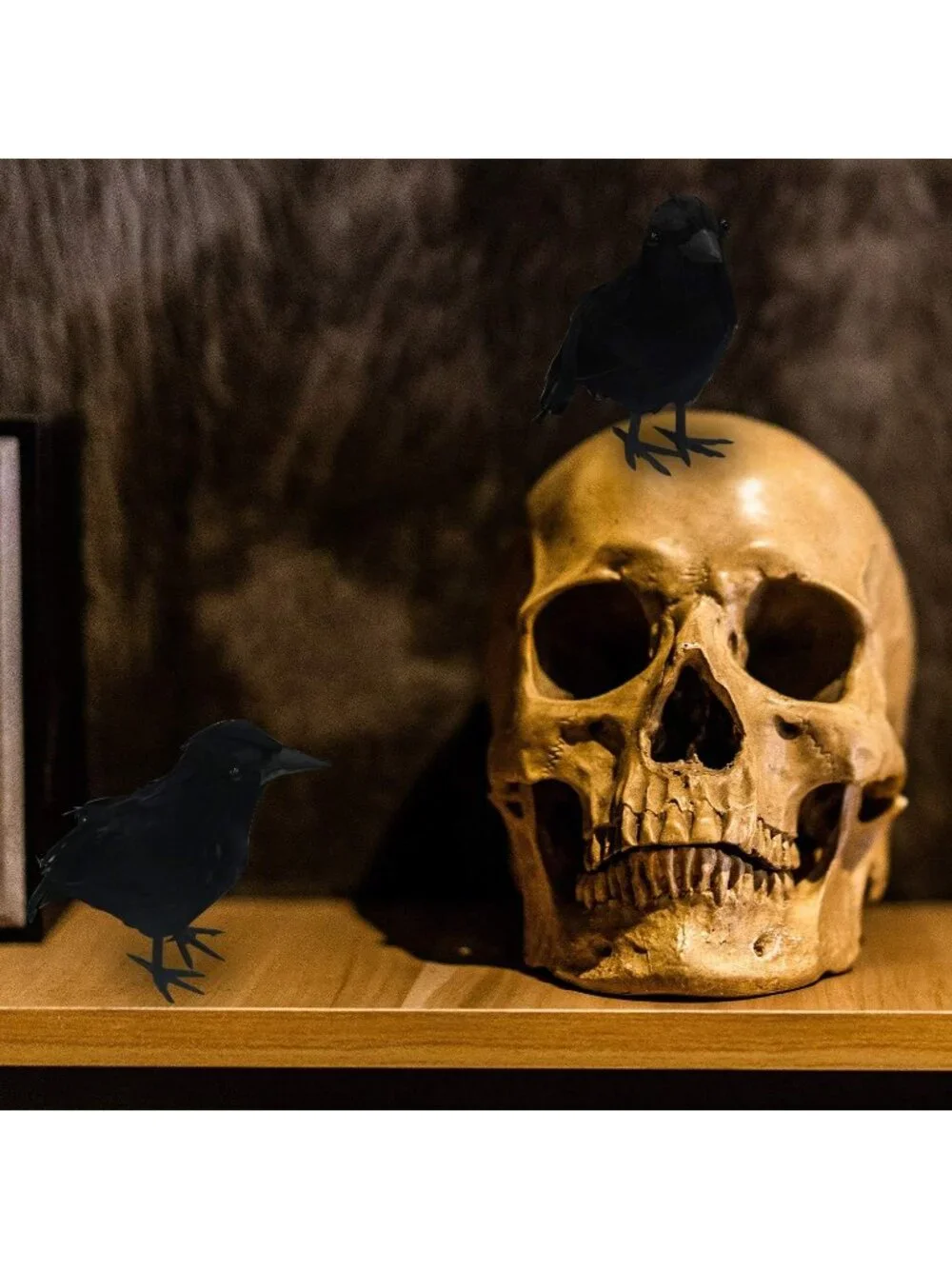 6 Pack Halloween Black Feathered Crows Lifelike Decoration Birds Real Feather